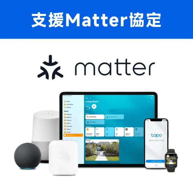 【TP-Link】智慧插座 遠端控制 過載保護 安全認證 電力監控 支援Matter(Tapo P110M)