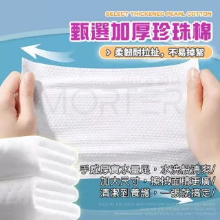【MorTer】車用清潔濕巾 80片 五入組 汽車濕紙巾 內裝皮椅塑膠 去污強力擦拭 汽車內裝清潔