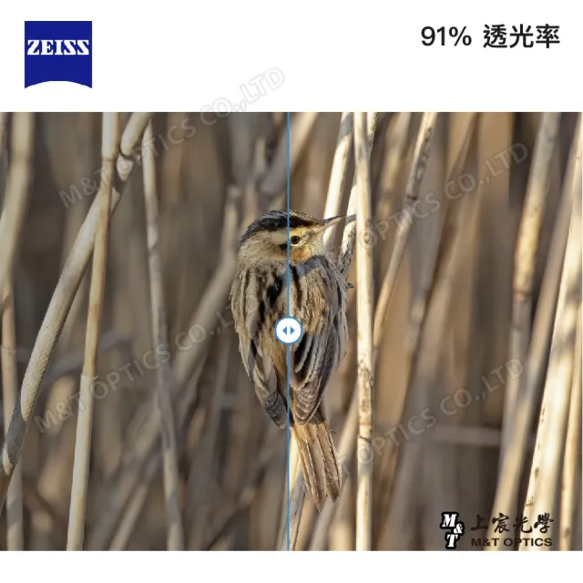 【ZEISS 蔡司】Victory Pocket 10X25 雙筒望遠鏡-公司貨(折疊便攜/日本製/螢石/賞鳥/演唱會/劇院)
