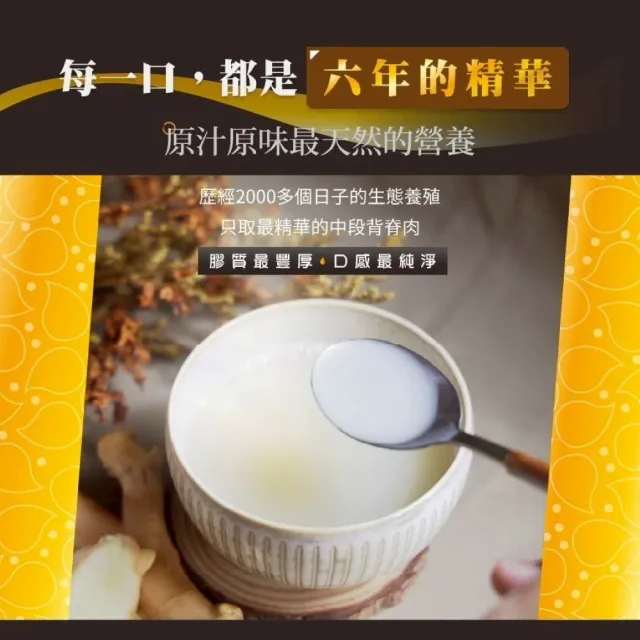 【蘇班長安心石斑】黃金暖薑龍膽膠原淬200g/包 30包/組(龍膽石斑 謝宜芳老師真心推薦 2026配方再升級)