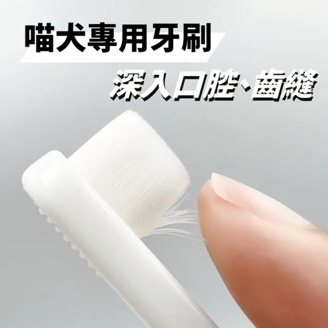 【PROUDPET 嬌寵醫生】極細軟 萬毛寵物牙刷(犬貓刷牙/寵物牙刷/貓狗護齦/寵物牙垢清潔)