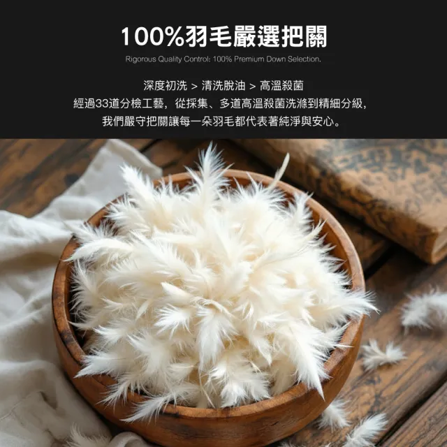 【ISHUR 伊舒爾】100%純天然頂級水鳥羽毛被 雙人2.2kg 台灣製造 (冬被/棉被/被子)