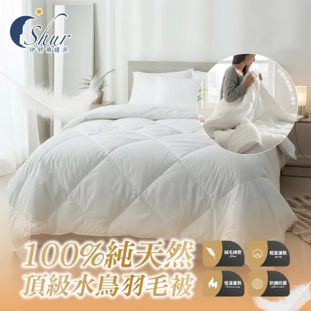 【ISHUR 伊舒爾】100%純天然頂級水鳥羽毛被 雙人2.2kg 台灣製造 (冬被/棉被/被子)
