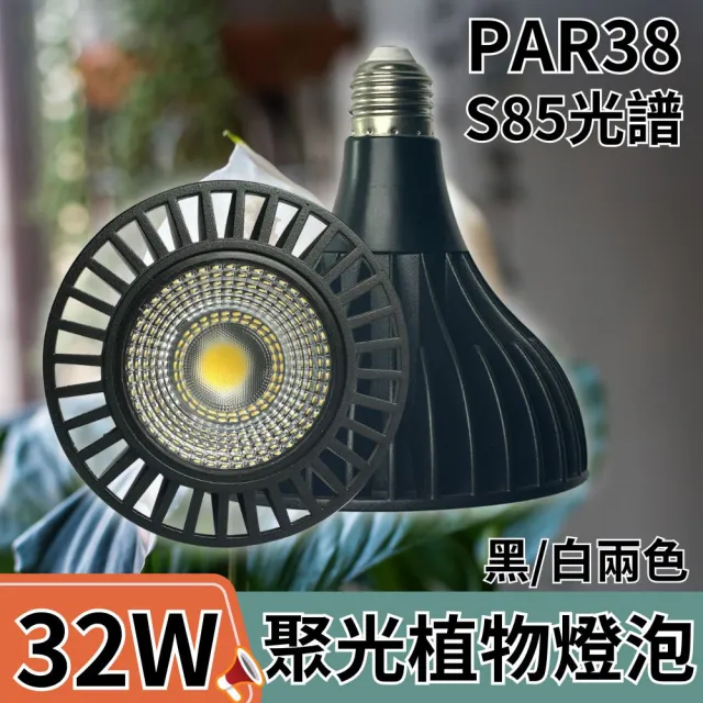 【JIUNPEY 君沛】嚴選 PAR38 LED32W聚光透鏡高光效植物燈 黑色 S85光譜(植物生長燈 植物燈)