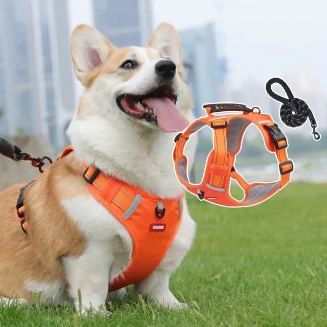 【2026】貓咪牽繩推薦｜10款高評價人氣品牌排行榜 | 好吃美食的八里人