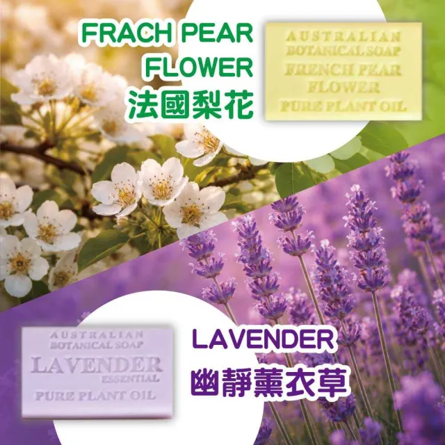 【Australian Botanical Soap】澳洲製植物精油香皂 4種香味(200g*8入/盒)
