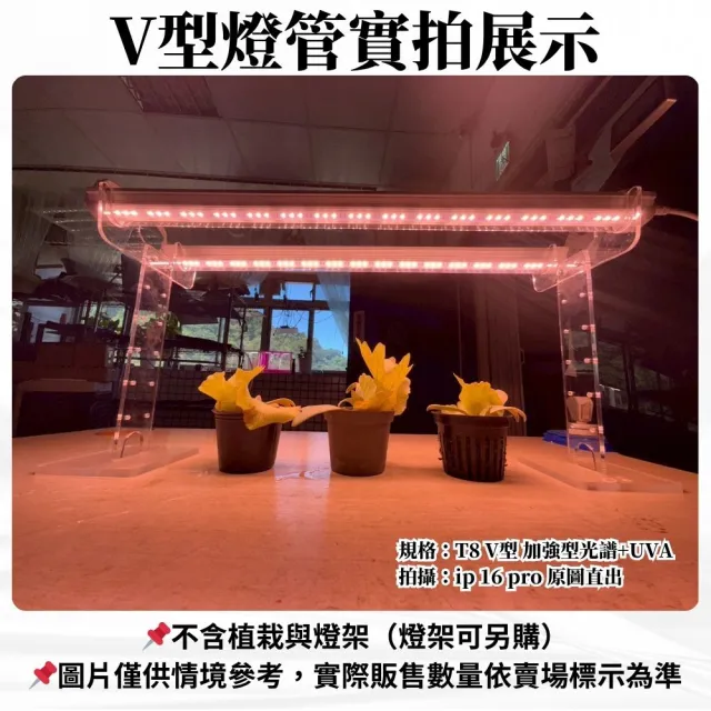 【JIUNPEY 君沛】2入組 T8一體式V型植物燈管 2呎25W 加強型光譜+UVA(植物生長燈)