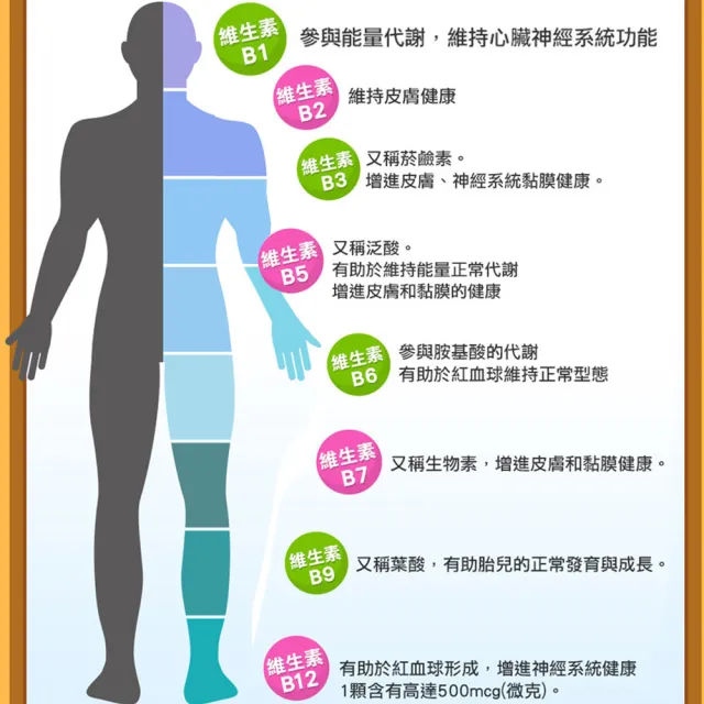 momo保健補給組【健康優見】活力B群糖衣錠升級版x5瓶(30粒/瓶)+白沙屯外出隨身藥盒
