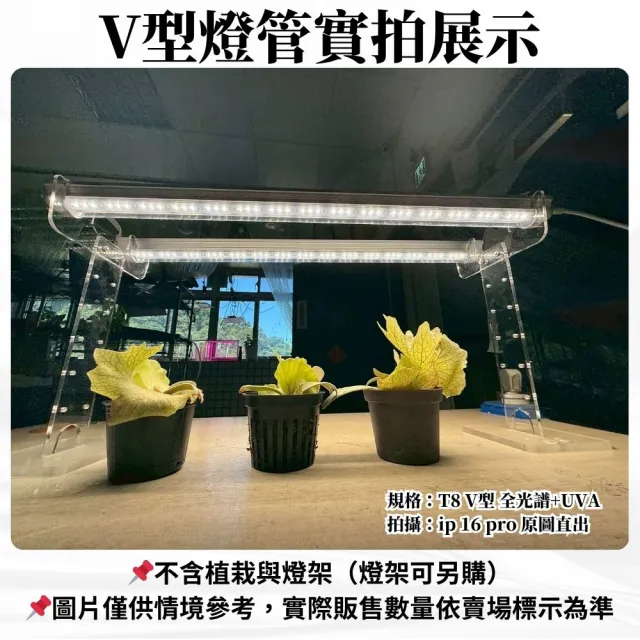 【JIUNPEY 君沛】2入組 T8一體式V型植物燈管 2呎25W 全光譜+UVA(植物生長燈)