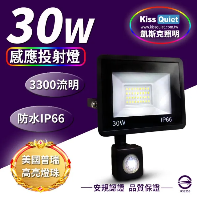 【KISS QUIET】質感黑 30W LED感應投射燈/全電壓/高PF-1入(LED投射燈/防水投射燈/戶外投射燈/感應投射燈)