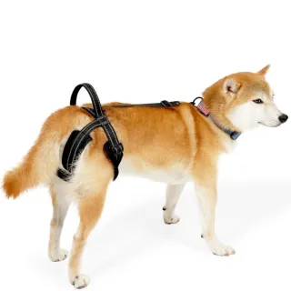 【Pet Universe 多寵宇宙】後肢輔助帶-夜幕黑(狗狗輔助帶 寵物輔助帶 狗輔助帶 老犬輔助帶 寵物輔助 老犬)