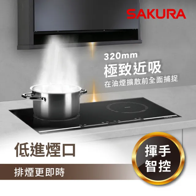 【SAKURA 櫻花】近吸除油煙機-固定款全隱藏80CM(R7301AL 原廠安裝-官方直營)