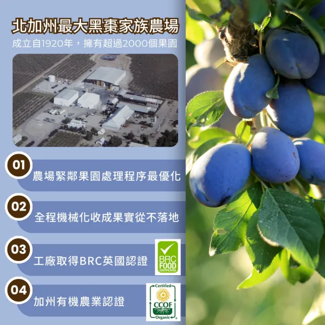 【O’natural 歐納丘】有機去籽黑棗乾210g*3罐