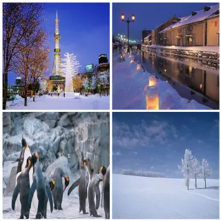 05-10月北海道五日自由行★亞航+薄野彩鴻飯店(兩人一室-單人券)