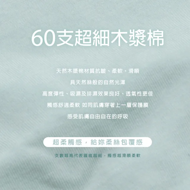 【蒂巴蕾】4件組-桑蠶絲無縫抗菌內褲 中腰 女(木漿棉 透氣舒適 超彈力 柔絲 大尺碼 女內褲 中高腰)
