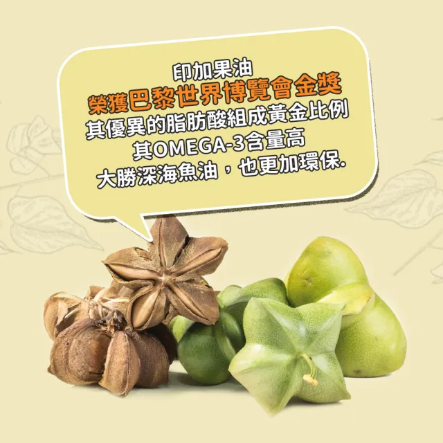 【信吉生醫】印加果油膠囊30粒X3盒(頂級100%純印加果油)