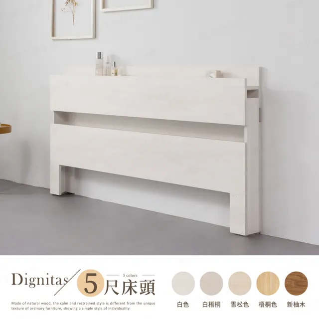 【H&D 東稻家居】DIGNITAS狄尼塔斯5尺插座雙人床頭片 MIT 台灣製(附燈 床頭箱 多色選)