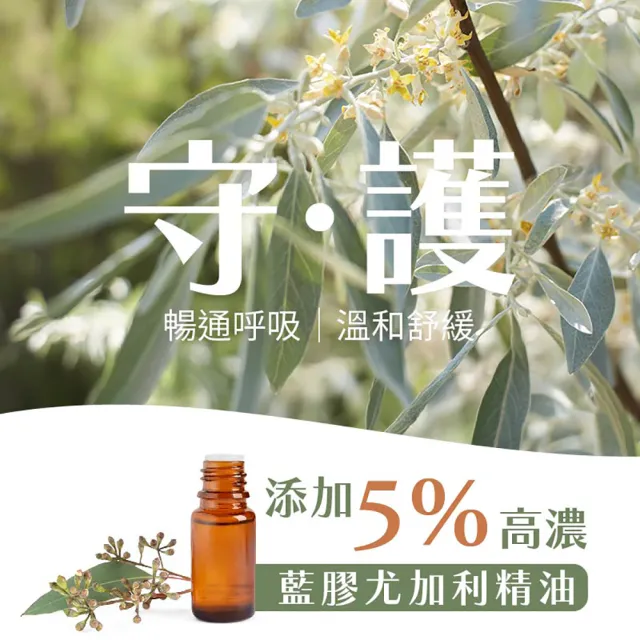 【古寶無患子】2瓶入 招福平安舒緩精油泡浴液400g(幫助循環/舒壓/舒眠/放鬆/泡澡)