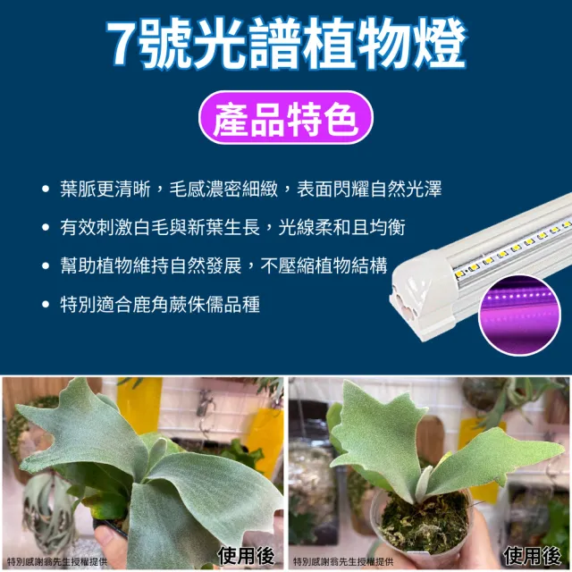 【JIUNPEY 君沛】3入組 7號光譜 T8 4呎 25W 一體式植物燈管(植物生長燈 鹿角蕨適用)