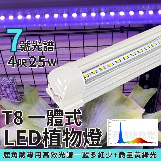 【JIUNPEY 君沛】3入組 7號光譜 T8 4呎 25W 一體式植物燈管(植物生長燈 鹿角蕨適用)