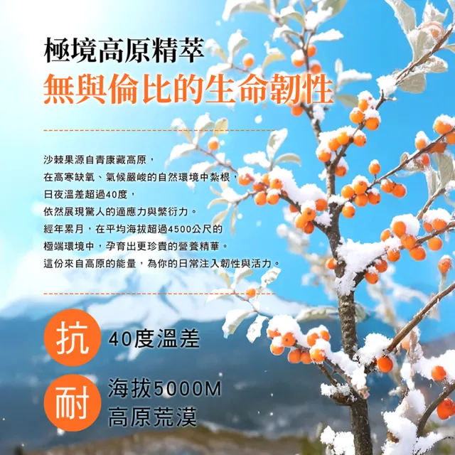 即期品【RalanLife】沙棘果油植物軟膠囊(全素可食)
