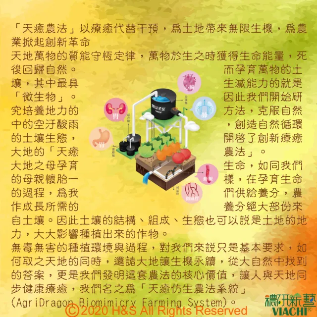 【穠研薪藝】天癒五生．元液  穠研靈蔘750ml/瓶(黑糖+異麥芽寡糖配方)