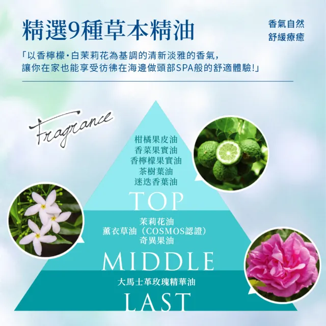 【LpLp】昆布精華護髮染髮霜170g (黑檀黑/胡桃棕) 白髮染髮/染髮同時護髮