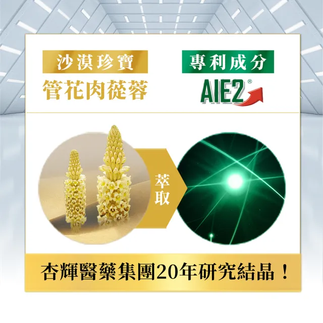 momo保健補給組【杏輝醫藥】蓉憶記膠囊 國家健康食品 3入+白沙屯外出隨身藥盒