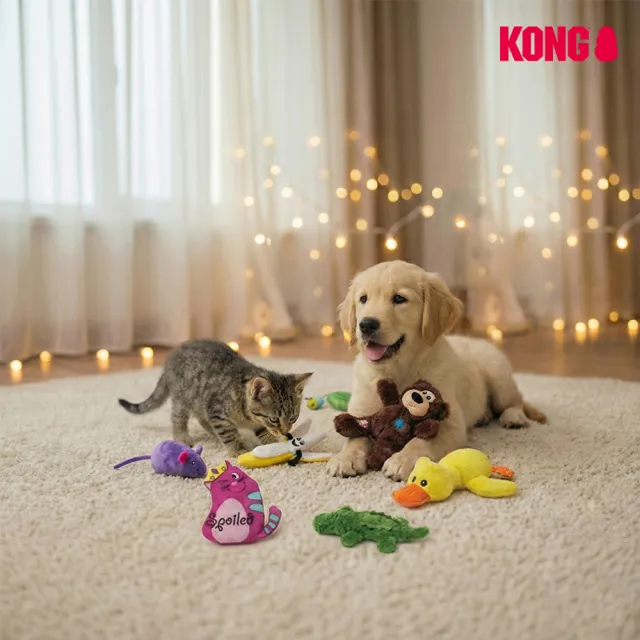 【KONG】寵物全齡咬咬訓練玩具(抗憂鬱 葫蘆   益智 啃咬 狗 寵物玩具 禮物)