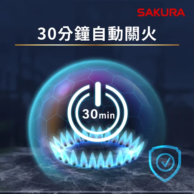 【SAKURA 櫻花】二口大面板易清檯面爐G2627G(原廠安裝-官方直營)