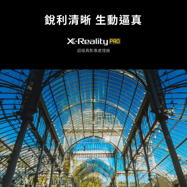 【SONY 索尼】BRAVIA 32型  HDR LED Google TV電視(KD-32W830L)