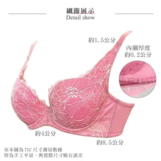 【Swear 思薇爾】3套組柔光花境系列B-F罩蕾絲包覆女內衣(3色各1)