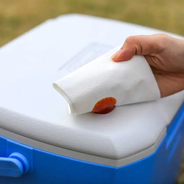 【Coleman】15L EXCURSION冰箱(露營冰桶 行動冰桶 保冷箱 保冰桶 手提冰桶)