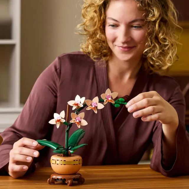 【LEGO 樂高】Botanicals 10343 迷你蘭花(居家擺設 花藝植栽 節慶禮物 玩具模型 禮物)