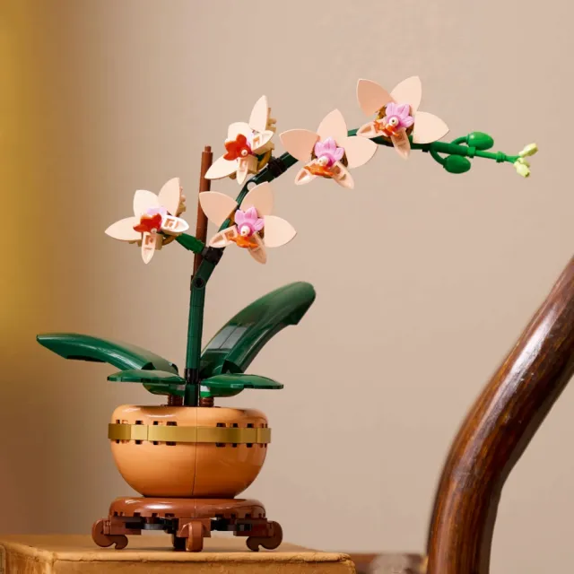 【LEGO 樂高】Botanicals 10343 迷你蘭花(居家擺設 花藝植栽 節慶禮物 玩具模型 禮物)