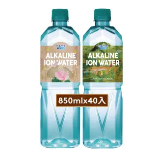 【台鹽】海洋鹼性離子水850mlx2箱/共40入(官方直營)