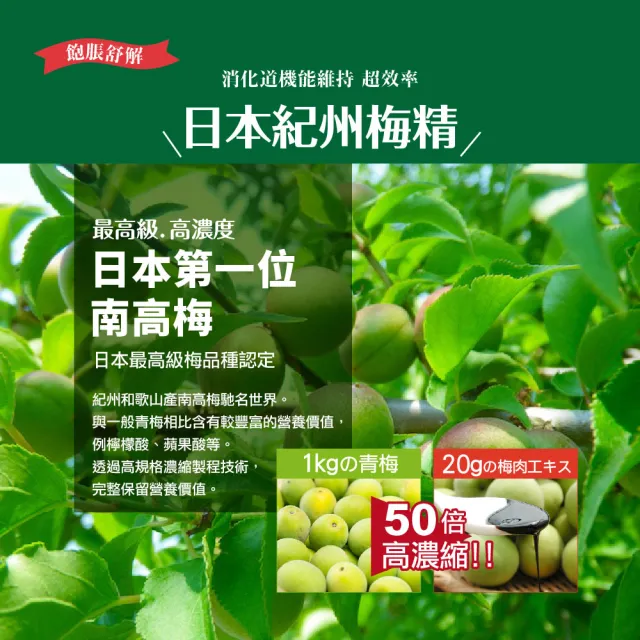 【IKOR】善美護衛梅精益生菌顆粒食品x2盒(30袋/盒 LAC 343+比菲德氏菌 紀州梅精 幫助消化 速效即攻)