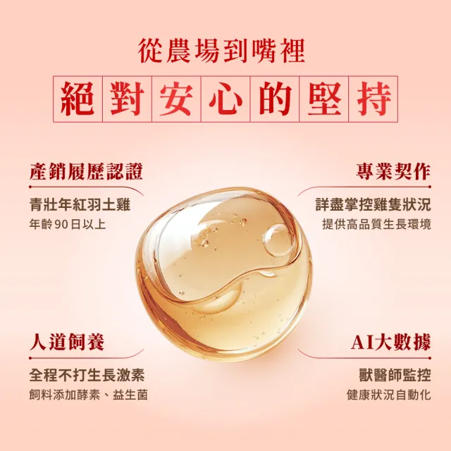 【芳茲】日月養生滴雞精 環保包裝組 25包_官方直營/常溫