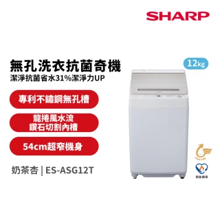【SHARP 夏普】58H快配12公斤無孔槽變頻直立式洗衣機(ES-ASG12T)