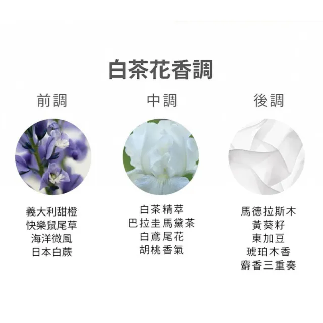 【伊麗莎白雅頓】官方直營 白茶花綻香氛舒體霜組(白茶400ml+白茶野玫瑰400ml)