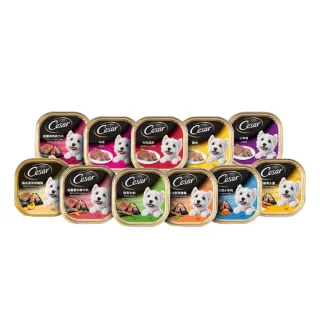 【Cesar 西莎】經典風味餐盒 100g*48入 寵物/狗罐頭/狗食(口味任選/狗罐/犬餐盒/熟齡犬/全齡適用)