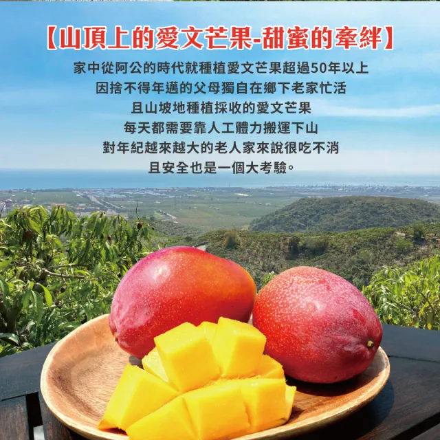 【初品果】屏東青農楊忠憲-枋山阿憲愛文芒果禮盒5斤6-8顆x2盒(大果_山頂上的愛文芒果_禮盒)