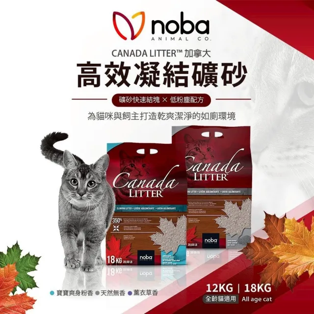 【noba】加拿大高效凝結礦砂18kg(加拿大原廠授權貓砂-快速結塊 高吸收 低粉塵)