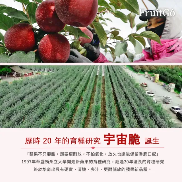 【FruitGo 馥果】美國宇宙脆特大蘋果320g/顆*14顆#56規(水果禮盒_大箱直送)