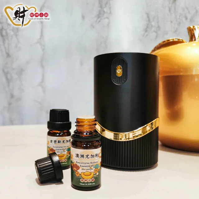 【財神小舖】財當家-無水精油擴香機 兩款任選 開運 淨化(充電/定時 香薰機 車載 居家)