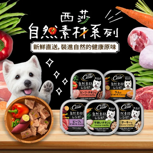 【Cesar 西莎】momo獨家組 自然素材餐盒 85g*56入 寵物/狗飼料/狗食(任選)
