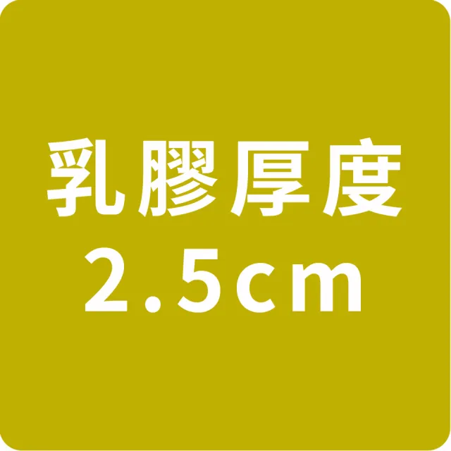【LooCa】雙人5尺 厚2.5cm HT純淨乳膠床墊-搭贈法國防蹣防蚊表布