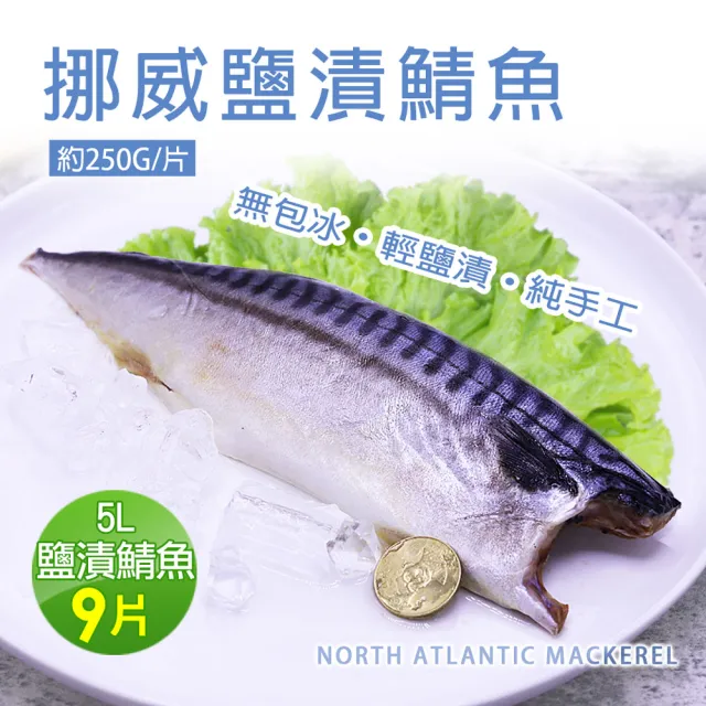 【2026】挪威鯖魚片推薦10款高評價挪威鯖魚片品牌排行 | BALIMAN情報局