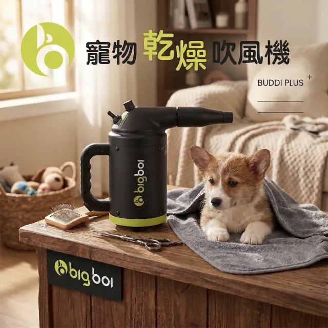 【bigboi】澳洲寵物冷熱吹風機含手持軟管組 Buddi PLUS+含背帶軟管(原裝進口 保固三年)