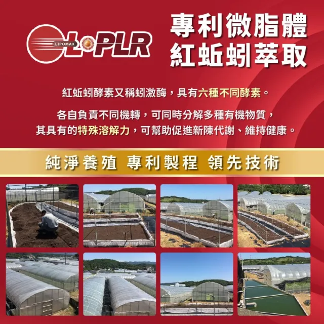 【JoyHui 佳悅】專利微脂體紅蚯蚓酵素6盒(共180粒、蚓激酶+紅景天+精胺酸)